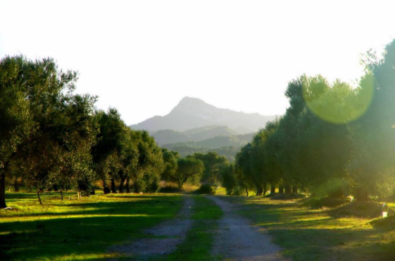 La Ultima Casa Masboquera Βίλα Mas Boquera Εξωτερικό φωτογραφία