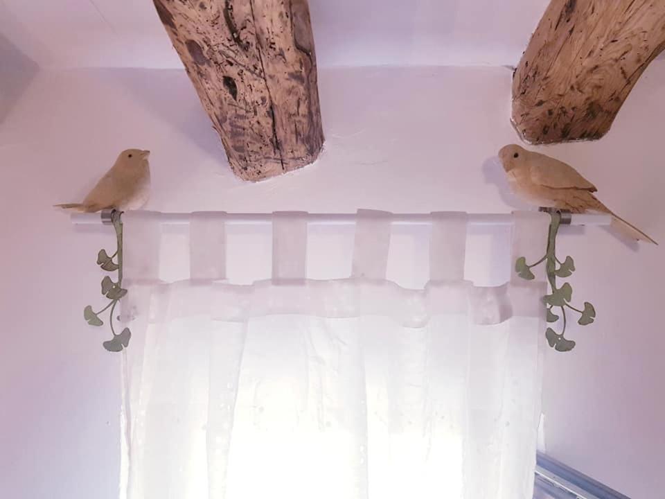 La Ultima Casa Masboquera Βίλα Mas Boquera Εξωτερικό φωτογραφία