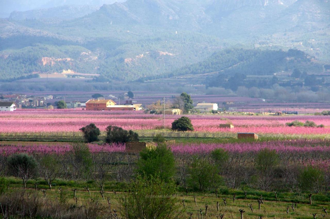 La Ultima Casa Masboquera Βίλα Mas Boquera Εξωτερικό φωτογραφία