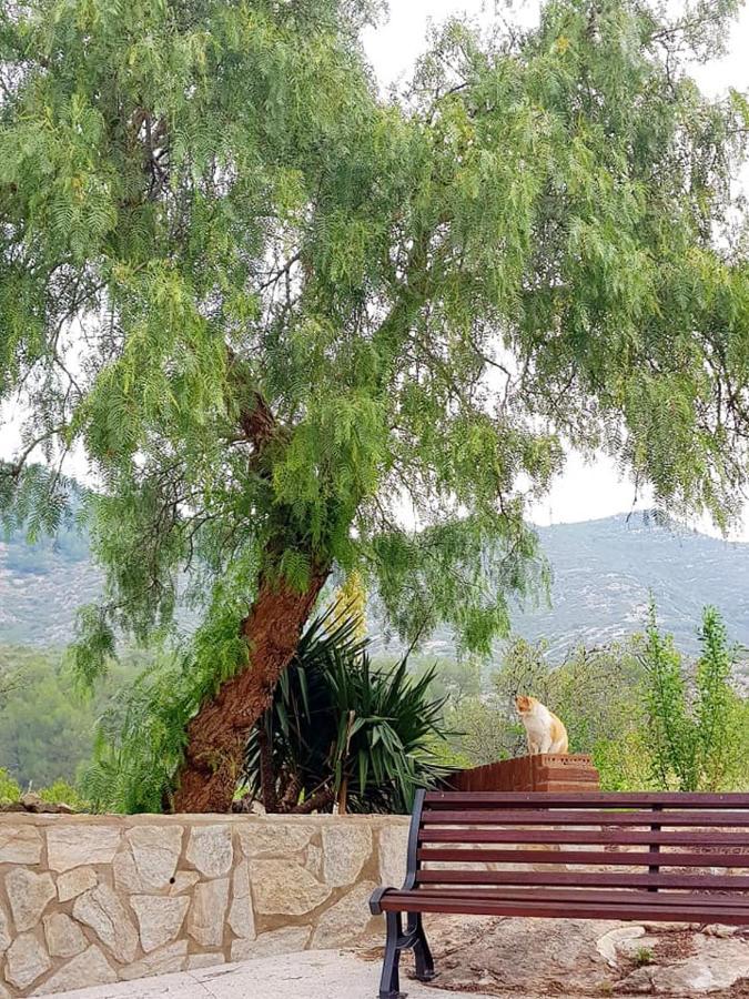 La Ultima Casa Masboquera Βίλα Mas Boquera Εξωτερικό φωτογραφία