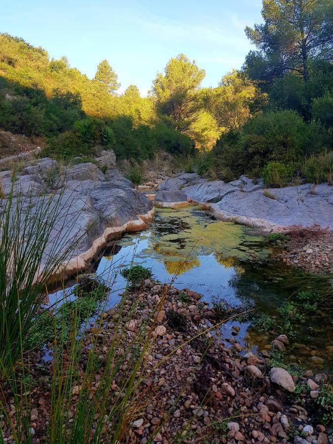 La Ultima Casa Masboquera Βίλα Mas Boquera Εξωτερικό φωτογραφία