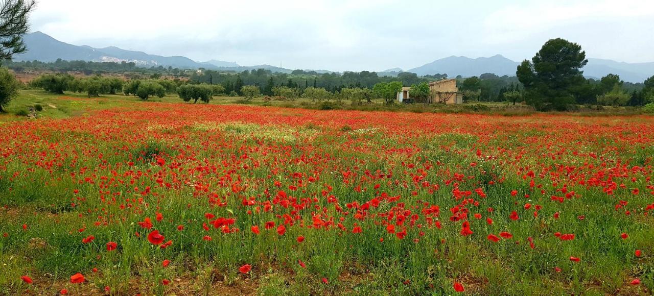 La Ultima Casa Masboquera Βίλα Mas Boquera Εξωτερικό φωτογραφία