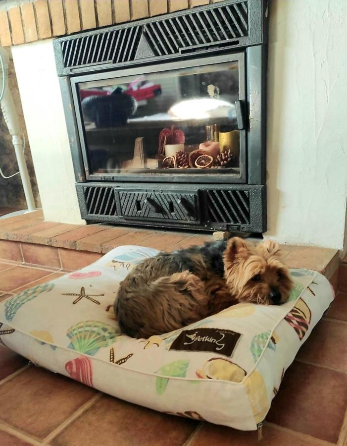 La Ultima Casa Masboquera Βίλα Mas Boquera Εξωτερικό φωτογραφία